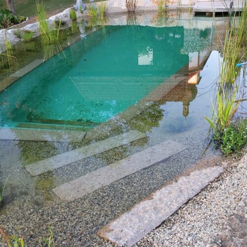 Trittsteine im Schwimmteich durch den Pflanzbereich folgend für den sicheren Sprung ins Wasser